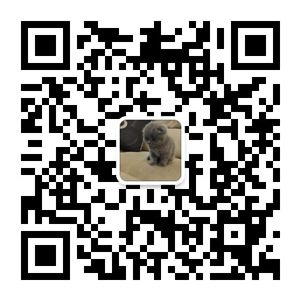 mmqrcode1572685353399.png