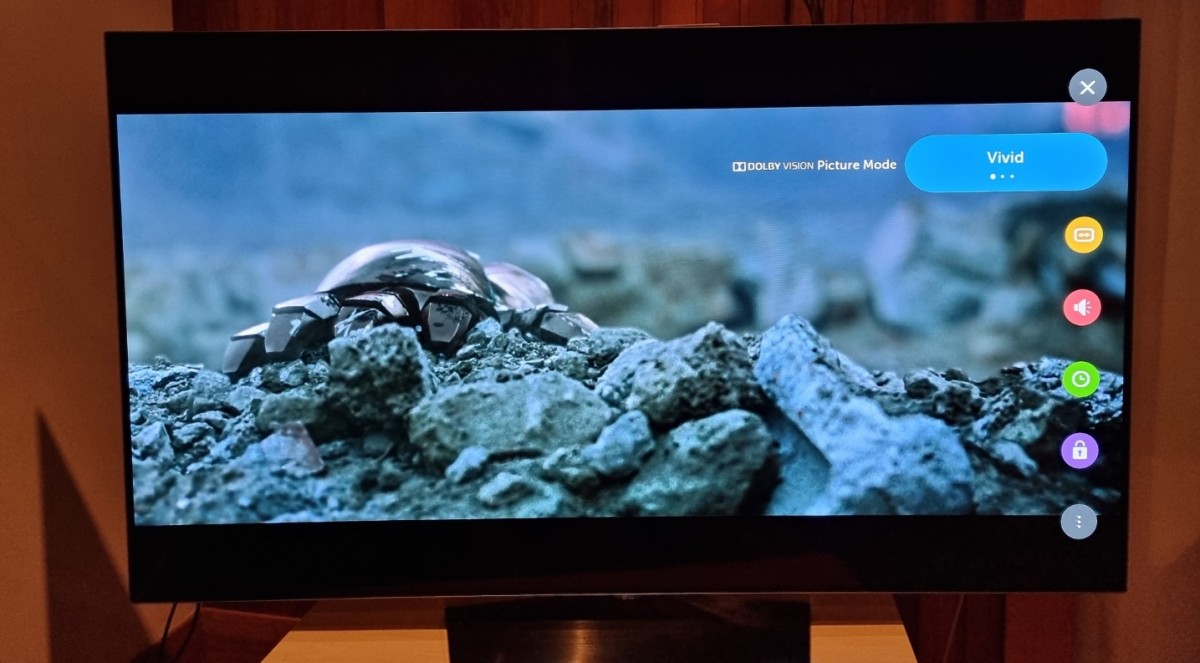 LG OLED3.jpg